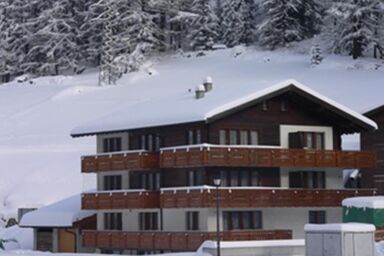 Silberdistel Studio Nr. 6101