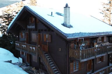 Bärgblüemli 1. OG Ost 1 1/2 Zimmerwohnung, 2-Betten