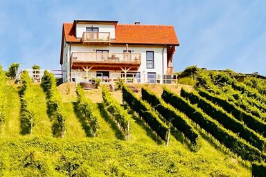 Chalet "Rebenchalet" mit Whirlpool