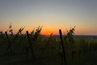 Ferienunterkunft zentral mit eigenem Parkplatz