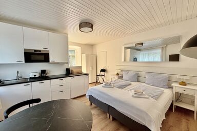 Payerbach Apartments - Studio Apartment Top 3