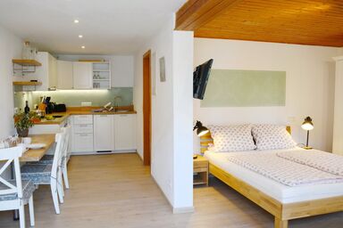 Möderlhof - Ferienappartment König Ludwig 35qm, Wohn/Schlafraum kombiniert, Terrasse