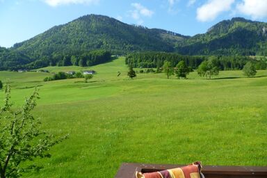 Ferienwohnungen Hollweger inkl. Chiemgaukarte - 2 Ferienwohnung 43qm, Balkon, Kochnische, 1 Schlafzimmer, 1 Wohnschlafz., WLAN