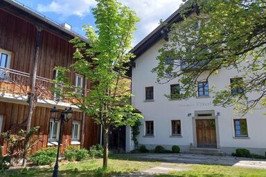 FrongaHOF - Lavendel