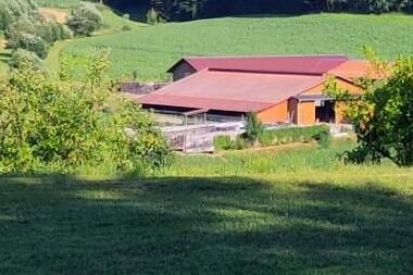 Mattheishof - Ferienwohnung I /Nebenhaus