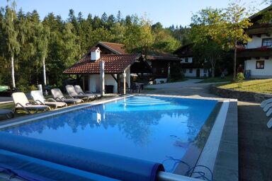 Appartement am Waldeck - Ferienhaus 803