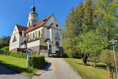 Forest Lodge - Ferienhaus Forest Lodge