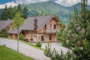 Premium Waldjuwel - Holzknecht .4