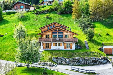 Gingembre 8 - Gingembre 12 .1