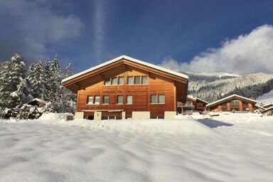 mit Bergblick - mit Bergblick .1