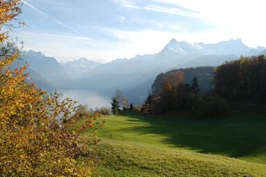 Dein Erlebnis - Dein Erlebnis .1