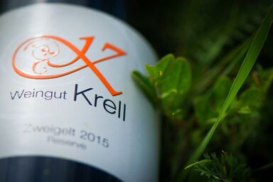 Weingut Krell - Doppelzimmer mit WC und Dusche