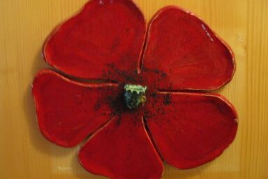 Biohof Bernhard - Mohnblume