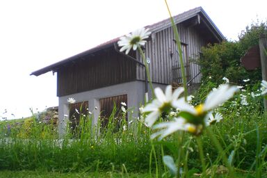Himetsberger - Ferienhaus Linde
