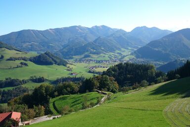 Ferienhof Rabenreith - Dreibettzimmer, Dusche, WC, Süd