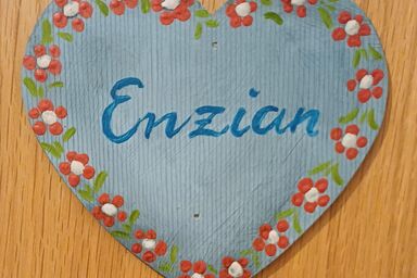 Ferienhaus-Bauernhof Bogstlhof - Ferienwohnung Enzian