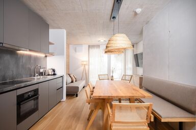 BASECAMP REITERALM by Schladming-Appartements - BASE 2.05 | Balcony App.