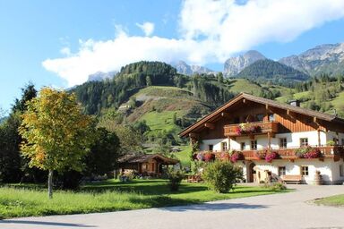 Zieferhof - Apartment "Asitz"