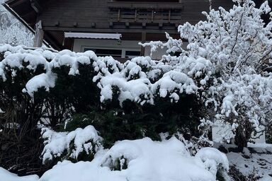 Haus Silverfern - Appartement Christchurch