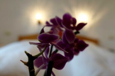 Linahof - Doppelzimmer Doris