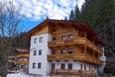 Haus Luxer - Typ B 1