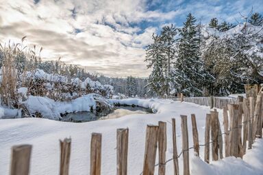 Ferienwohnung mit Sauna