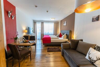 Hallstatt Dachstein Inn Apartment mit Pool und Spa