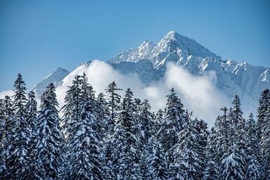 Putzprinz Gujan Ferienwohnung, Haus Surmir B / 16, (Flims Waldhaus). 2.5-Zimmer-Wohnung