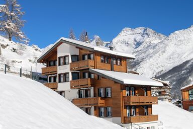 Ideal 4-Bettwohnung Nr. 5