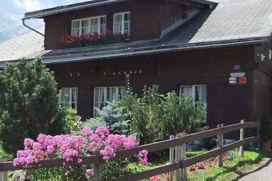 gemütliches SINGLE-Studio