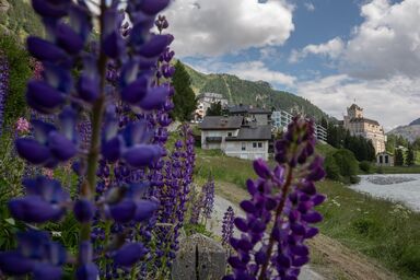 Studio Flüm - Chesa Misaun