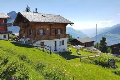Chalet Adlerhorst Parterre 3,5 Zimmer-Wohnung