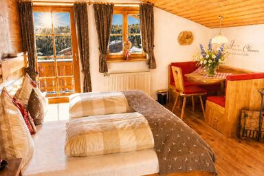 Gästehaus Schönfeld - Apartment Zwerchenberg  - Ein-Raum-Apartment 26m² mit Balkon und Morgensonne