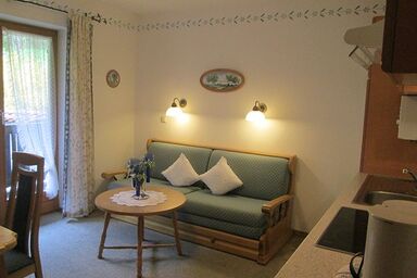 Haus Öfenbichl Ferienwohnungen - Ferienwohnung Nr. 3, 1-2 Personen, 40 qm, Dusche/WC, Balkon, TV, 1 Schlafzimmer, Nichtraucher, Südseite