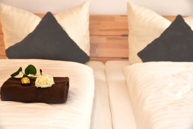 Bauernhof König - Sternschnuppe