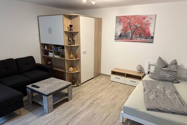Ferienwohnungen Glasschleife - Singleappartement
