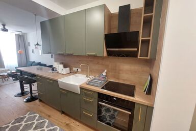 Premium Apartment MariaHilf 1 - Premium Apartment MariaHilf 1 .1