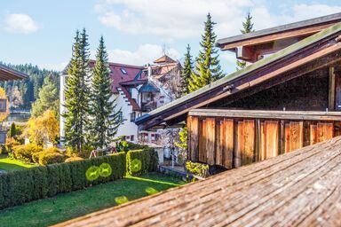 My Nest - My Nest .2