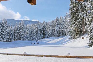 Chalet Märchenblick - Chalet Märchenblick .1