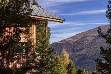 Superior #23 with Sauna & Hot Tub - Superior # 6 mit Sauna & Hot Tub .6