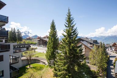 Gamat 27 - Gamat 27 .5