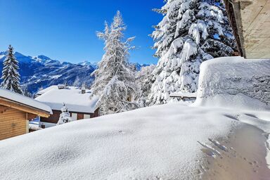 Orchidée 111 - Orchidée 111 .1