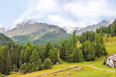 Rosablanche E003A - Rosablanche D31 .72