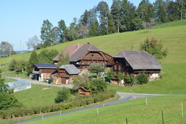 Bauernhof Gerber - Bauernhof Gerber .1