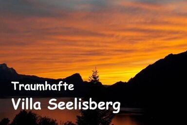 Villa Seelisberg mit Jacuzzi und Panoramablick - Villa Seelisberg mit Jacuzzi und Panoramablick .1