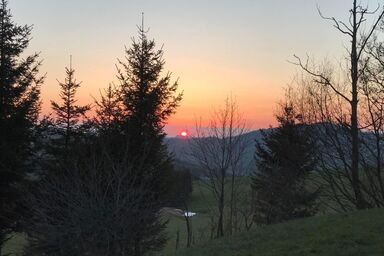 Soldanella - Soldanella .1