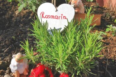 Schafbauernhof Berger - Wohnung Rosmarin