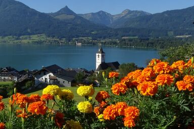 Altroiterhof - Appartement ZWÖLFERHORN