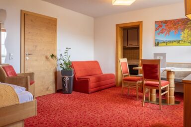 Aparthotel Das Hochkönig - App. 207 - 1 Schlafzimmer, Wohn-/Schlafraum, Bad