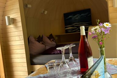 Igluhuts Passail - Igluhaus Almenland